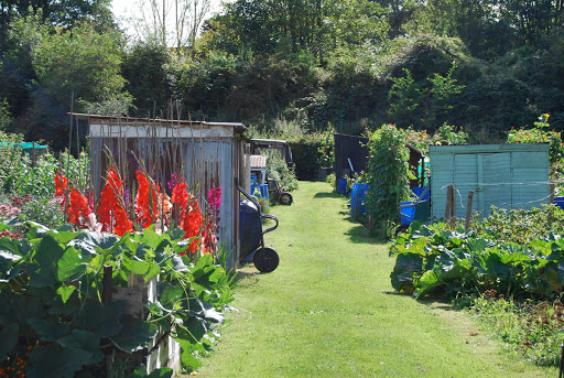 allotment2